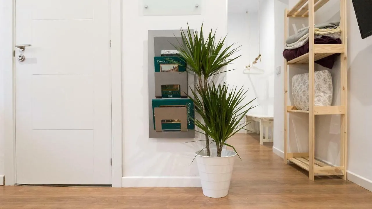 Apartamento Alameda De Colon Apartment Malaga